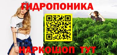 индика Кулебаки